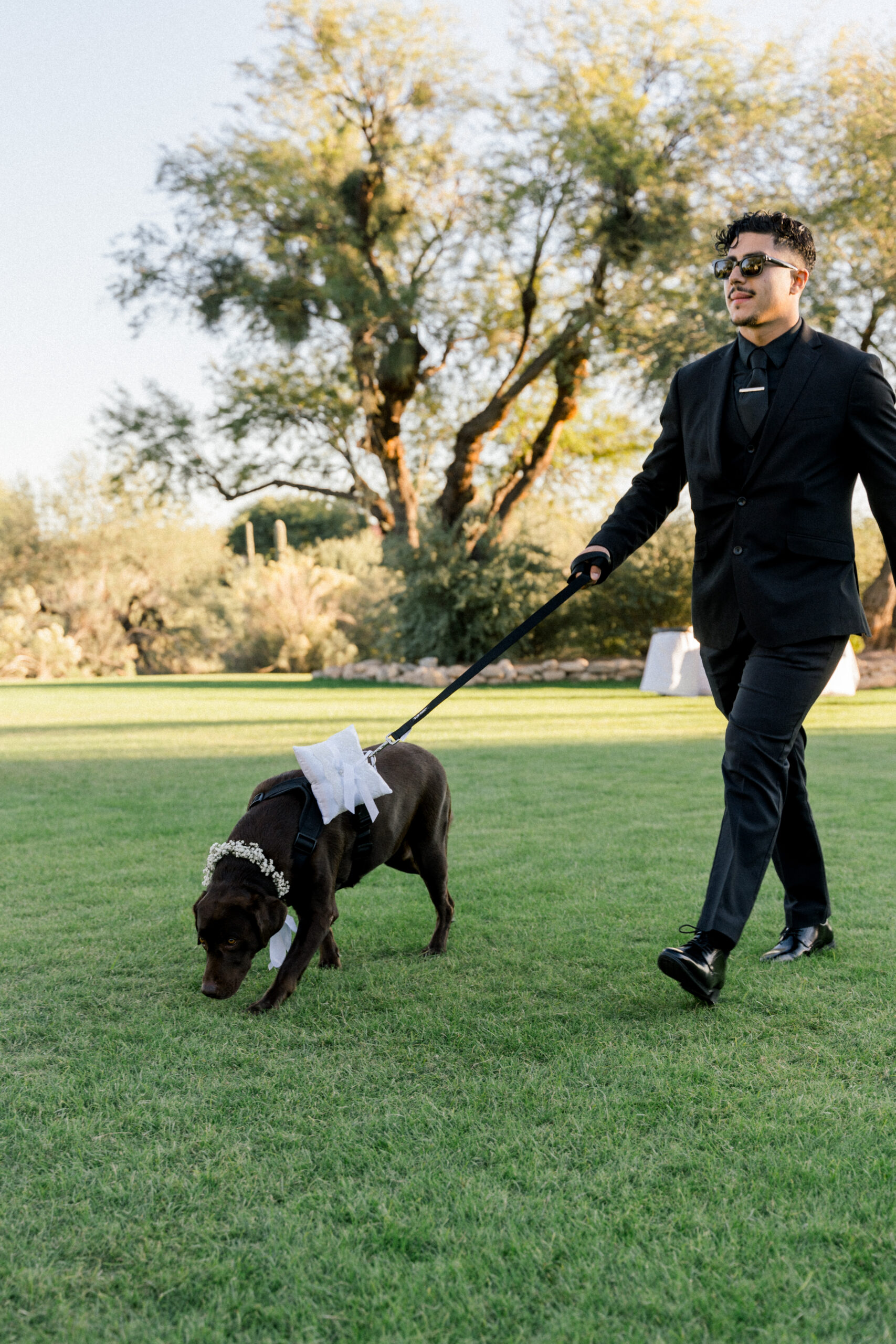 Wedding at Westin La Paloma in Tucson, AZ. Dog walks down the aisle as a ring bearer. Ruby Sandoval Photography.