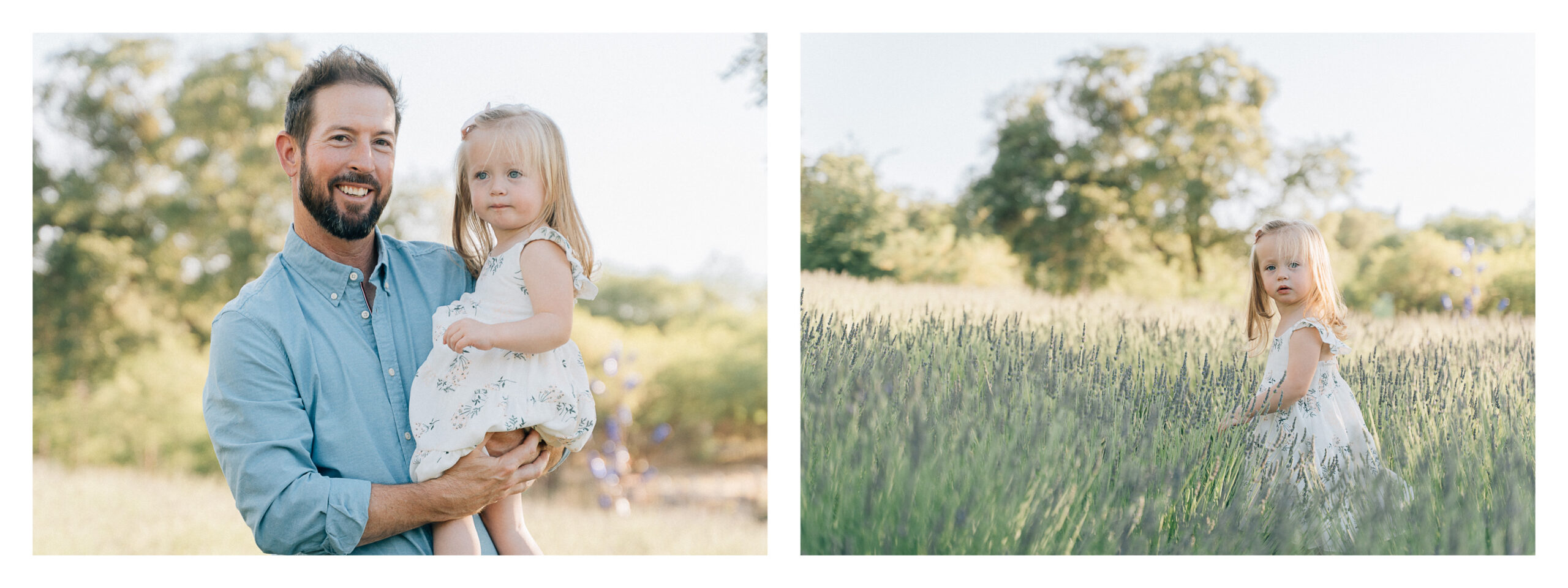 family pictures in lavender fields of dad and daughter.