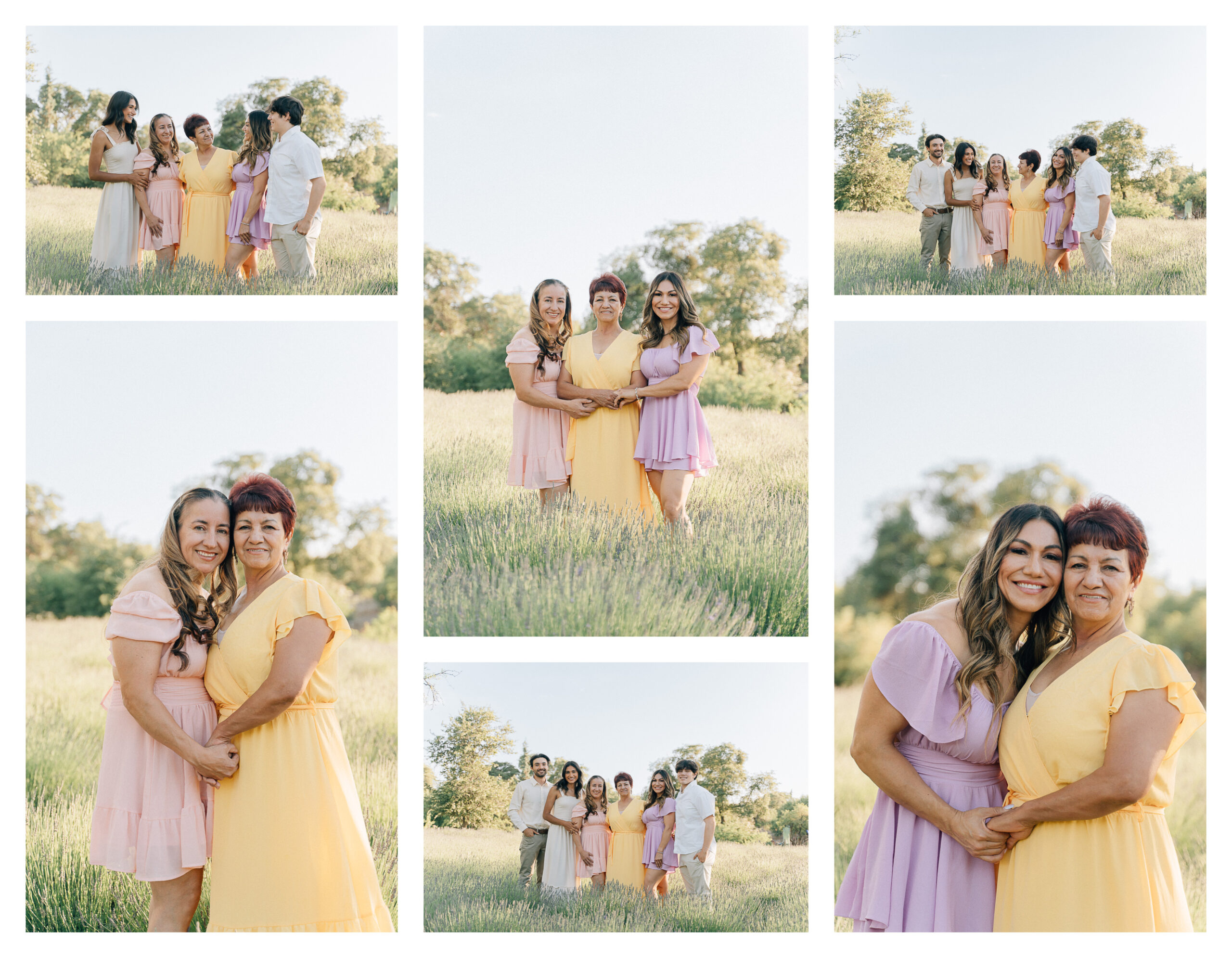 Family pictures at the lavender fields for a lavender mini session